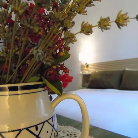 Amaryllis * Trevignano Romano