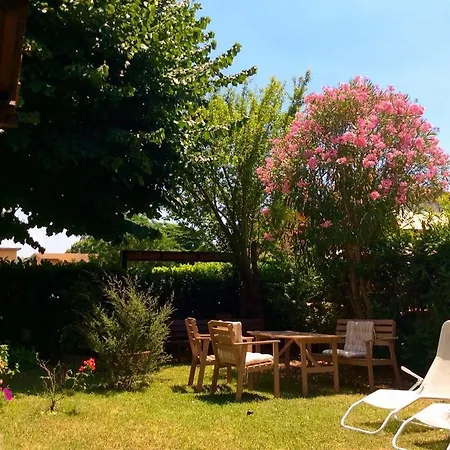 Amaryllis Trevignano Romano
